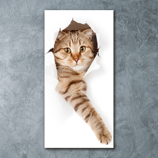 Acrylbild vertikal Katze
