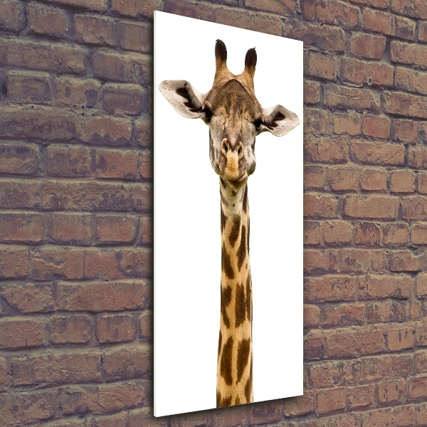 Bild auf Acrylglas vertikal Giraffe