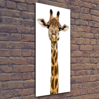 Bild auf Acrylglas vertikal Giraffe