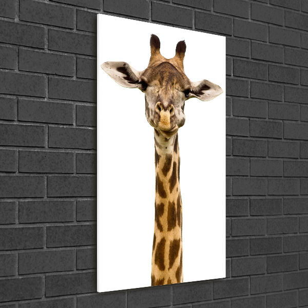 Bild auf Acrylglas vertikal Giraffe