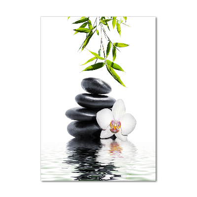Plexiglasbilder vertikal Orchidee und Steine