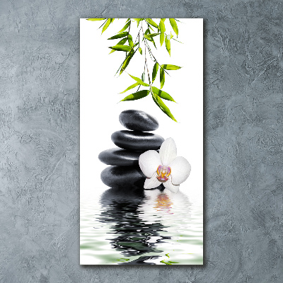 Plexiglasbilder vertikal Orchidee und Steine