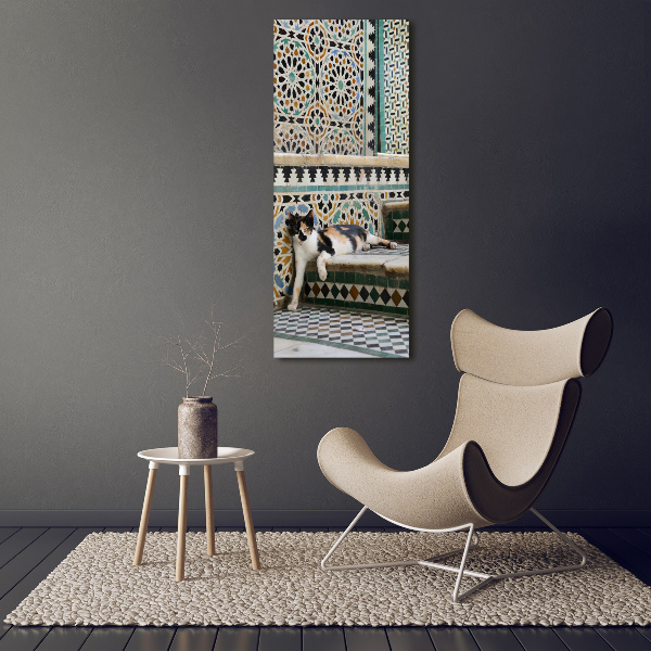 Plexiglasbilder vertikal Katze in Marokko