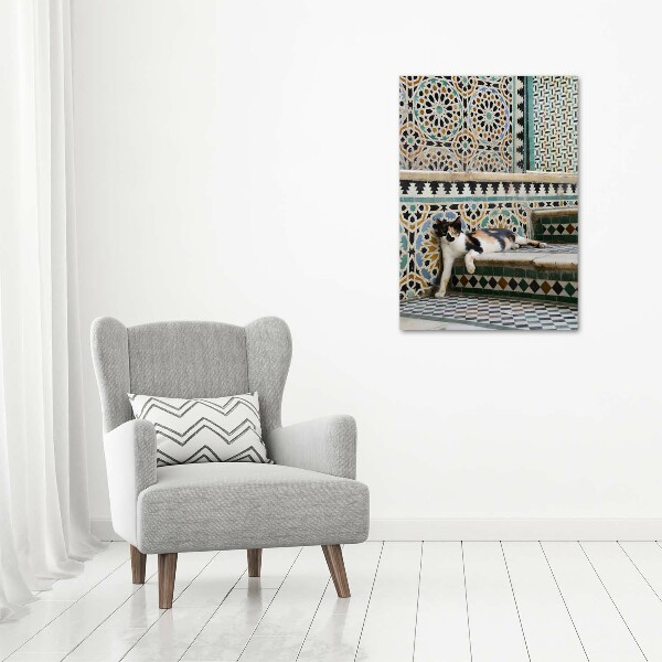 Plexiglasbilder vertikal Katze in Marokko