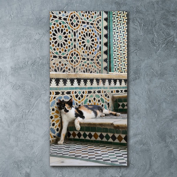 Plexiglasbilder vertikal Katze in Marokko