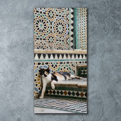 Plexiglasbilder vertikal Katze in Marokko