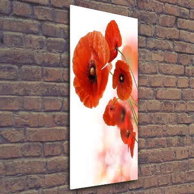 Modernes Acrylbild vertikal Feldmohn