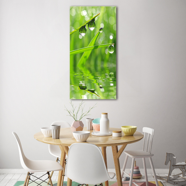 Bild auf Acrylglas vertikal Grashalme