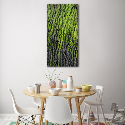 Plexiglasbilder vertikal Baumrinde