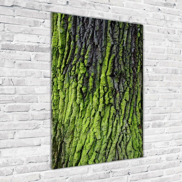 Plexiglasbilder vertikal Baumrinde