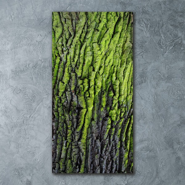 Plexiglasbilder vertikal Baumrinde