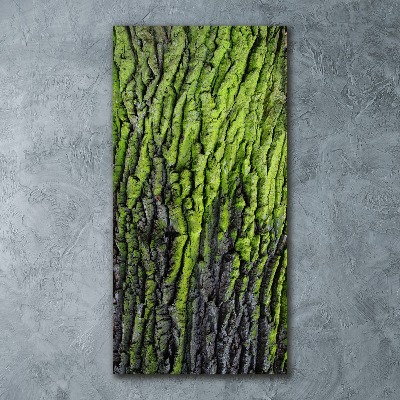 Plexiglasbilder vertikal Baumrinde