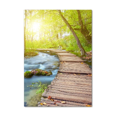Plexiglasbilder vertikal Pfad im Wald