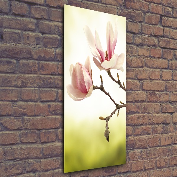 Bild auf Acrylglas vertikal Magnolienblüten