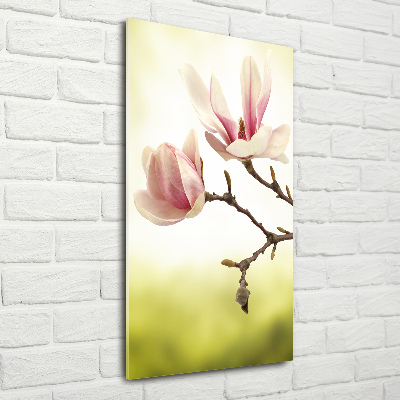 Bild auf Acrylglas vertikal Magnolienblüten