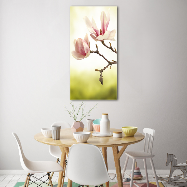 Bild auf Acrylglas vertikal Magnolienblüten