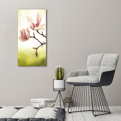 Bild auf Acrylglas vertikal Magnolienblüten