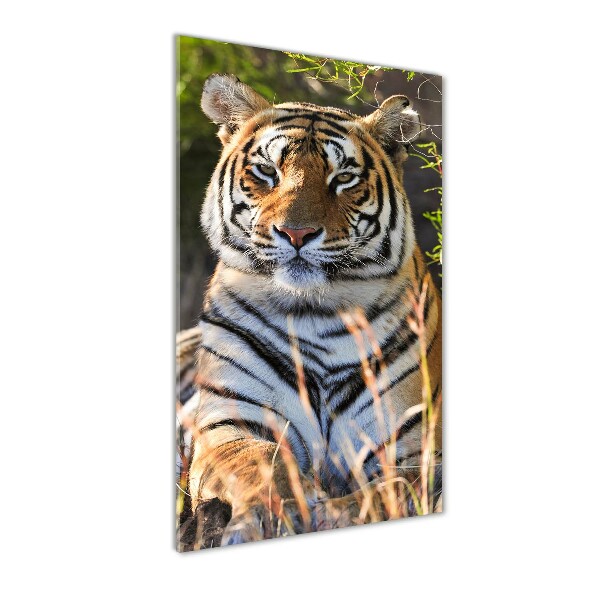 Modernes Acrylbild vertikal Tiger