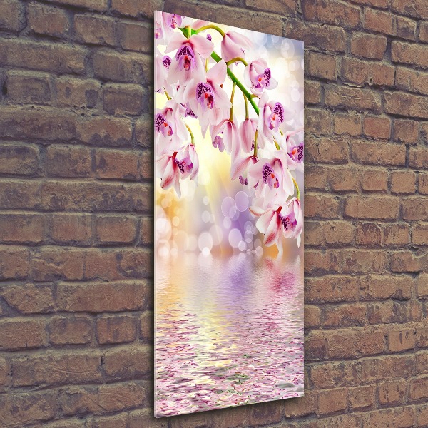 Bild auf Acrylglas vertikal Orchidee