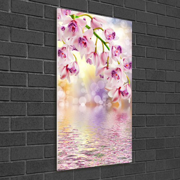 Bild auf Acrylglas vertikal Orchidee
