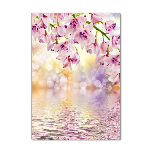 Bild auf Acrylglas vertikal Orchidee