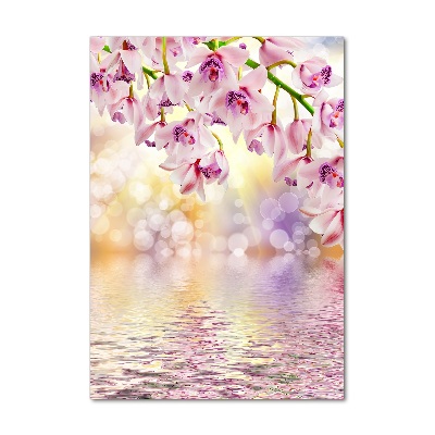 Bild auf Acrylglas vertikal Orchidee