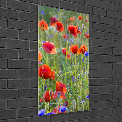 Acrylbild vertikal Wildmohn