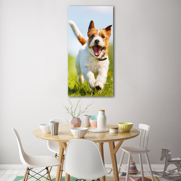 Plexiglasbilder vertikal Jack Russell Terrier