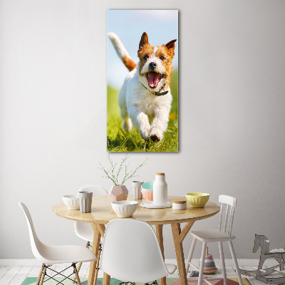 Plexiglasbilder vertikal Jack Russell Terrier