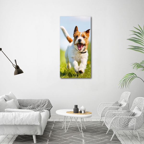 Plexiglasbilder vertikal Jack Russell Terrier