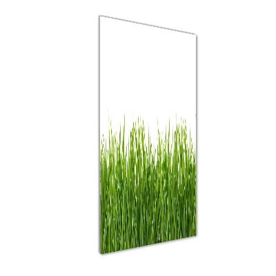 Bild auf Acrylglas vertikal Grünes Gras