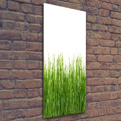 Bild auf Acrylglas vertikal Grünes Gras