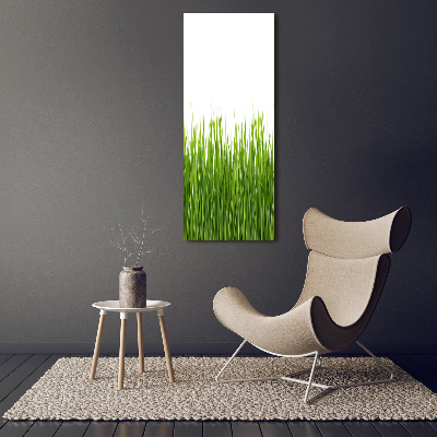 Bild auf Acrylglas vertikal Grünes Gras