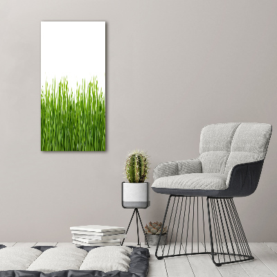 Bild auf Acrylglas vertikal Grünes Gras