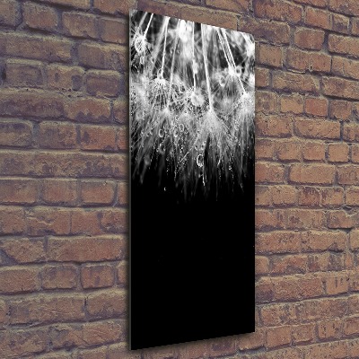 Bild auf Acrylglas vertikal Löwenzahnsamen