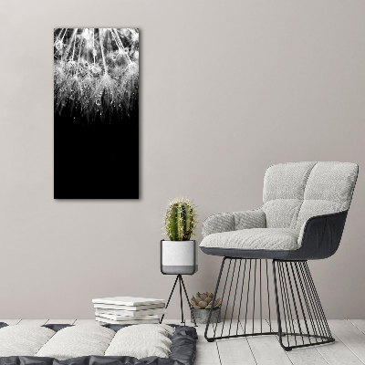 Bild auf Acrylglas vertikal Löwenzahnsamen