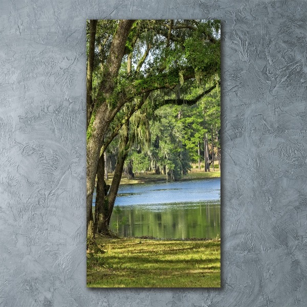 Bild auf Acrylglas vertikal See im Park