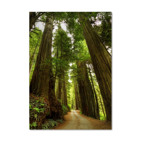 Acrylbild vertikal Pfad im Wald