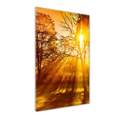 Plexiglasbilder vertikal Park im Herbst