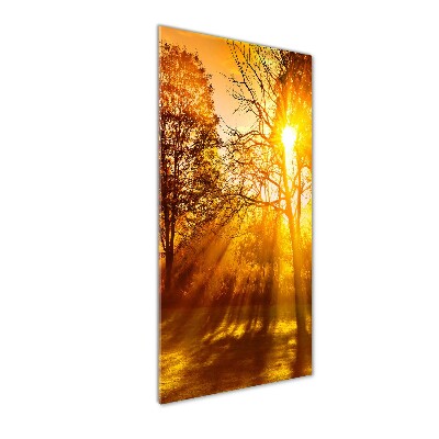 Plexiglasbilder vertikal Park im Herbst