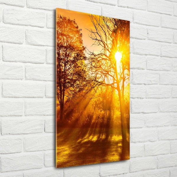 Plexiglasbilder vertikal Park im Herbst