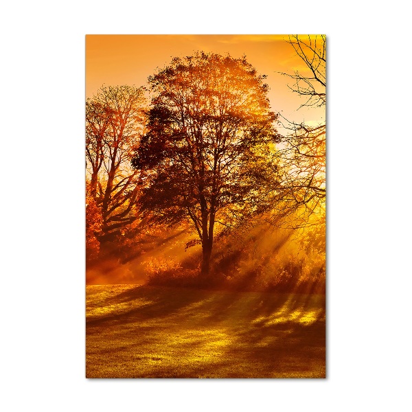 Plexiglasbilder vertikal Park im Herbst