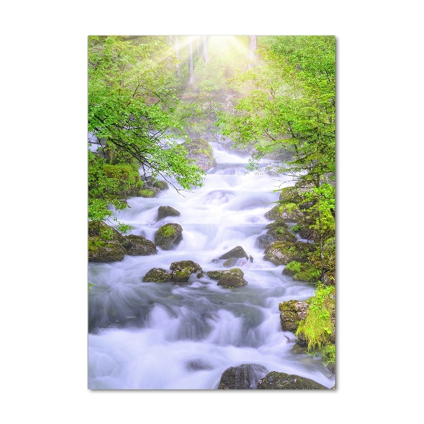 Acrylbild vertikal Gebirgsbach