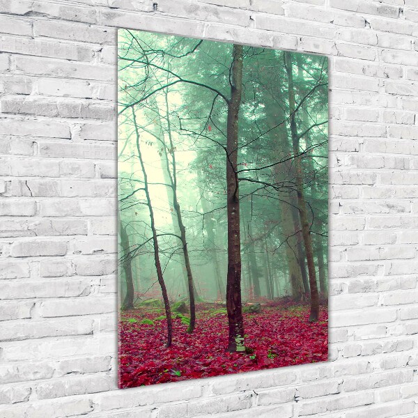 Bild auf Acrylglas vertikal Wald im Herbst