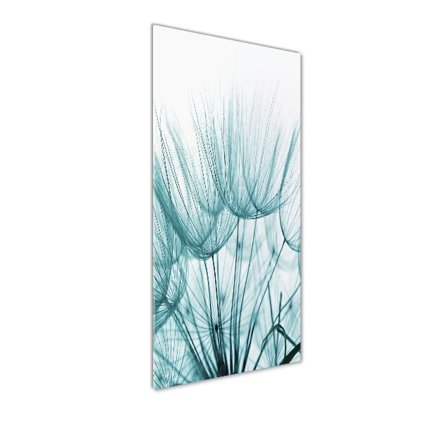 Plexiglasbilder vertikal Löwenzahnsamen