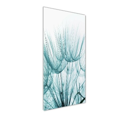 Plexiglasbilder vertikal Löwenzahnsamen