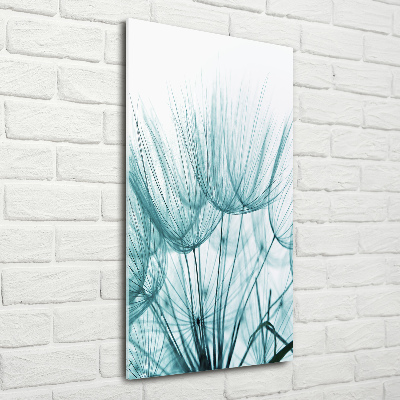 Plexiglasbilder vertikal Löwenzahnsamen