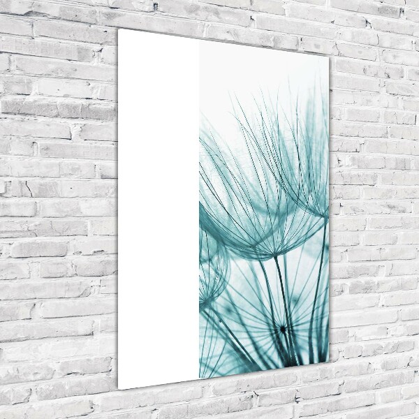 Plexiglasbilder vertikal Löwenzahnsamen