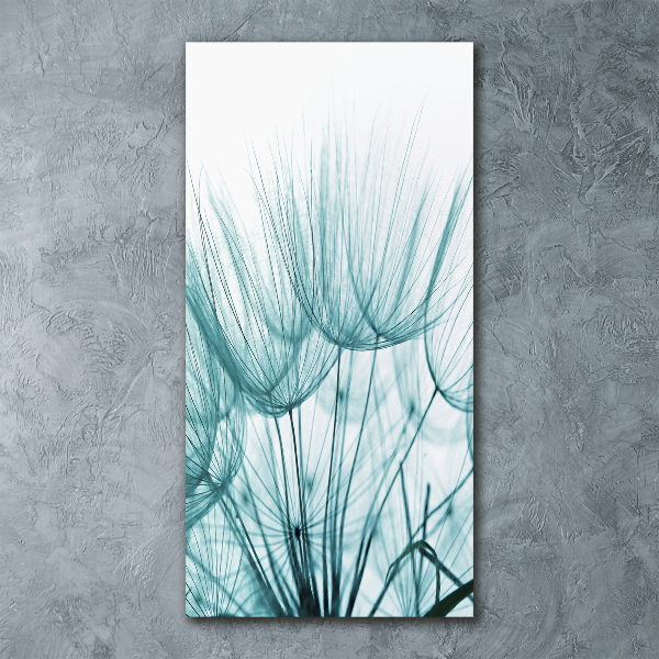 Plexiglasbilder vertikal Löwenzahnsamen