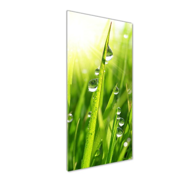 Acrylbild vertikal Grashalme